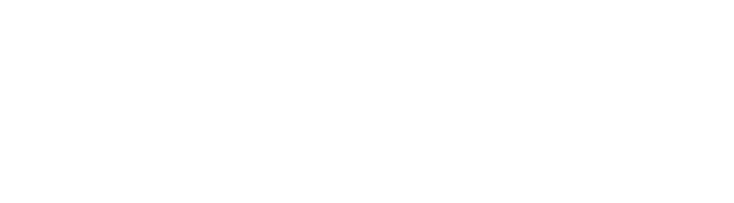 Estevez Logo B
